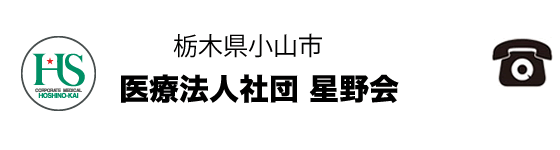 栃木県小山市医療法人会星野会